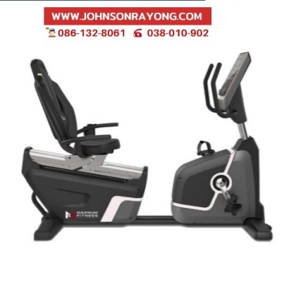 Recumbent Bike R007