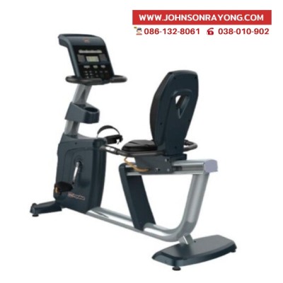 Recumbent Bike RR500